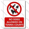 CYO|PA46A – No Dogs Allowed on the Tennis Courts