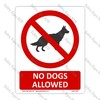 CYO|PA46 – No Dogs Allowed Sign